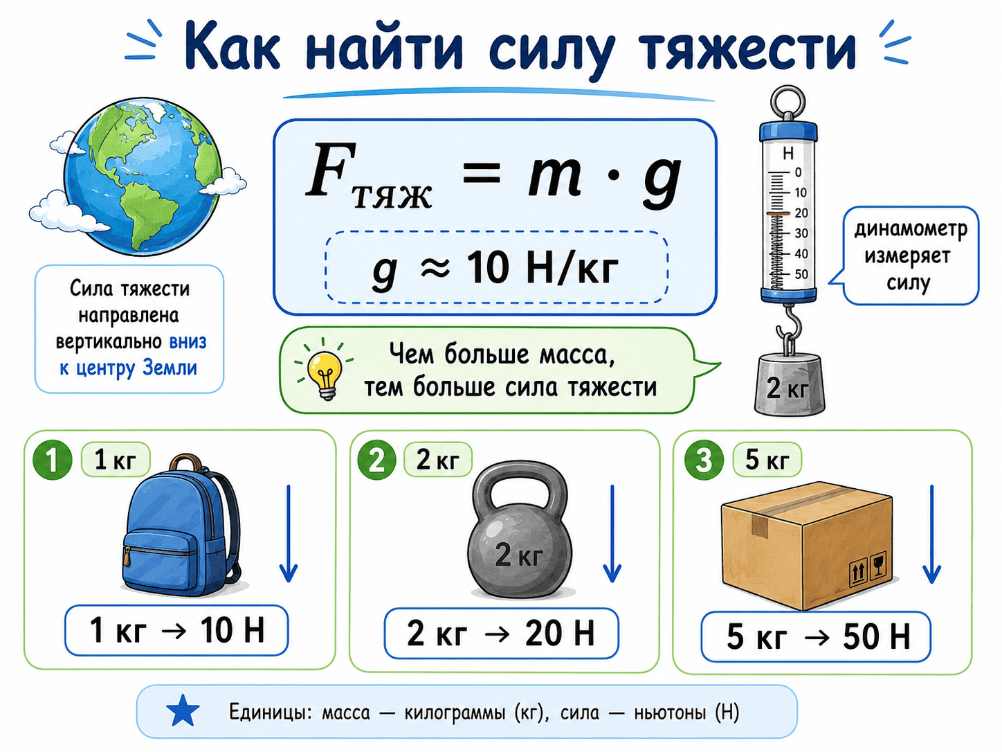 Динамометр и измерение силы тяжести