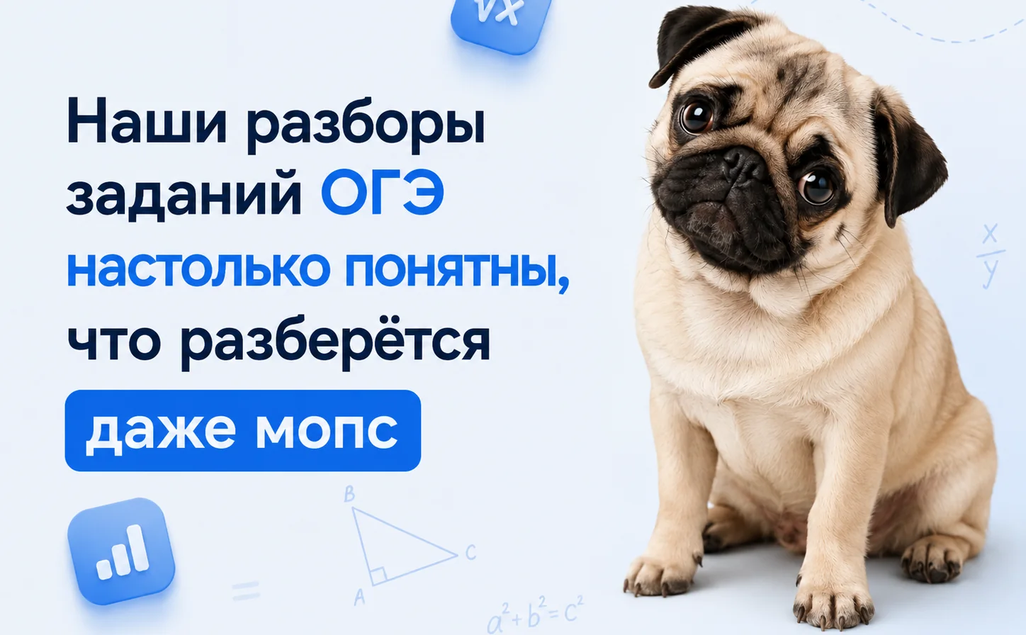 Наши разборы заданий ОГЭ настолько понятны, что разберётся даже мопс